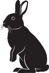 Black rabbit sitting isolated on, side view