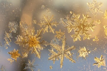 A Collection of Diverse Snowflake Shapes Captured in Macro Detail