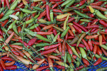 Vibrant close up background of fresh red and green chili pepper. colorful and spicy pile fiery hot ingredient from recent harvest, ready for cooking and cuisine