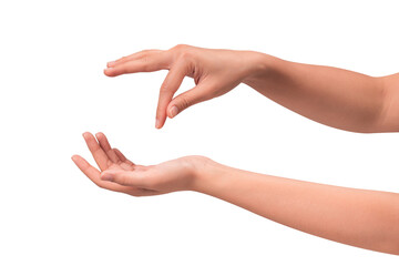 Close-up of beautiful empty hand gesture isolated on a transparent PNG.
