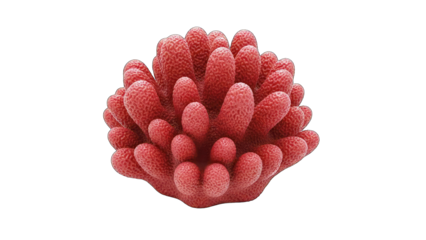 Detailed Macro View of a Vibrant Red Coral Structure With Tiny Polyps Against a Stark Black Background Ideal For Underwater Scenery And Marine Biology Themes