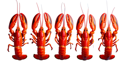 Five cooked red lobsters in a row, with claws extended, against a black background