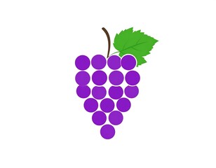 A cluster of deep purple, spherical fruit, attached to a brown stem with a green leaf, set against a stark white backdrop