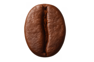 Single coffee bean showing roasted texture and detail with warm brown color on transparent background