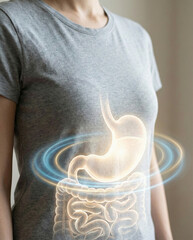 Persons torso with digestive system overlay, great for medical illustrations, educational materials, science blogs, and health related designs.
