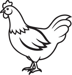 Obraz premium Simple chicken outline drawing ideal for farm, food-related graphics, and children’s illustration.