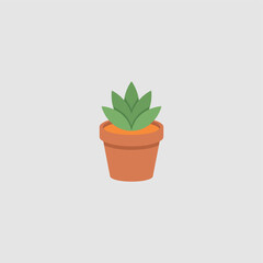 Obraz premium A potted succulent plant with green leaves placed in a brown clay pot, suitable for indoor decoration.