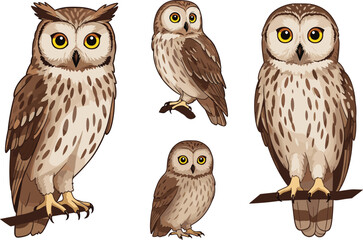 Cartoon owl illustration, perched owl characters, cute forest birds, brown feathered owls, expressive yellow eyes, wildlife drawing, educational animal art, nature-themed clipart