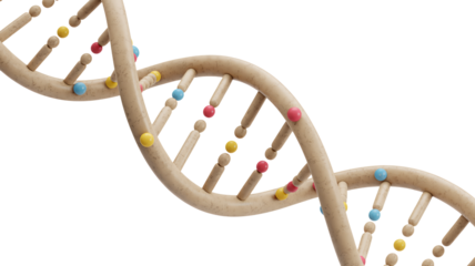 Elegant DNA strand shows genetic code for medical breakthroughs concept
