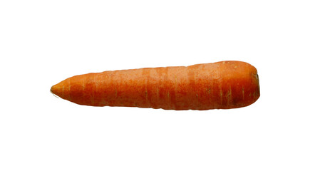 fresh whole carrot isolated