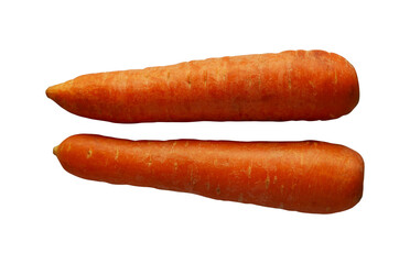 two fresh carrot isolated