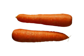 two fresh carrot vegetable isolated