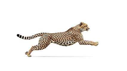 Graceful Cheetah in Full Sprint Capturing the Speed and Elegance of the Fastest Land Animal