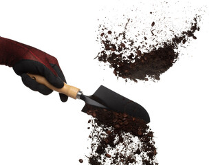 Naklejka premium Fertilizer Coffee bean seed powder mixed soil fly fall in shovel, Fertilizer Coffee bean soil for planting float in air. Fertilizer Coffee bean throw in mid air. White background isolated high speed