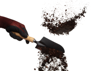 Fertilizer Coffee bean seed powder mixed soil fly fall in shovel, Fertilizer Coffee bean soil for planting float in air. Fertilizer Coffee bean throw in mid air. White background isolated high speed