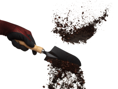 Fertilizer Coffee bean seed powder mixed soil fly fall in shovel, Fertilizer Coffee bean soil for planting float in air. Fertilizer Coffee bean throw in mid air. White background isolated high speed