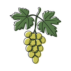 Obraz premium One continuous line illustration of an grape fruit, isolated on white background.