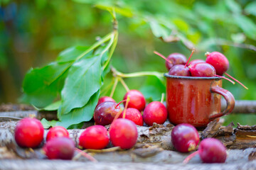 a lot of small red apples in a red circle. High quality photo