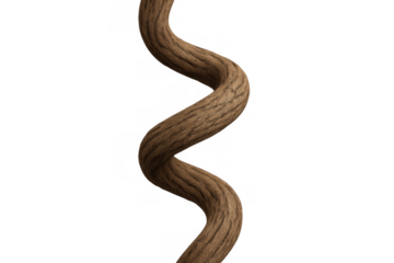 Twisted brown wooden vine branch, natural climbing plant element with rough bark texture, transparent background