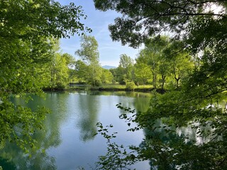 Special Ichthyological Reserve Vrljika, Donji Prolozac - Imotska krajina region, Croatia (UNESCO GeoPark) - Posebni ihtiolo&scaron;ki rezervat Vrljika, Donji Proložac - Hrvatska (UNESCO GeoPark, Hrvatska)