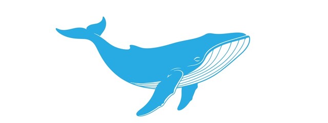 Illustration of a blue whale with visible fins and tail on white background
