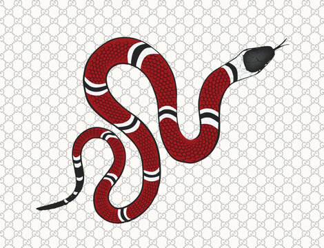 Gucci Snake Images – Browse 16 Stock Photos, Vectors, and Video 
