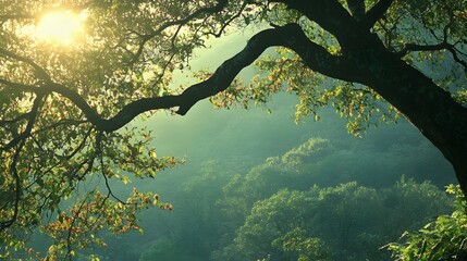 A  sunbeam breaks through the canopy of a lush forest, creating a warm glow on the leaves.