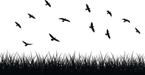 Flock of Flying Birds Silhouettes Over Detailed Grass Silhouette Vector Illustration, Representing Nature, Freedom, Migration, Spring, Wildlife, and Outdoor Scenery Design