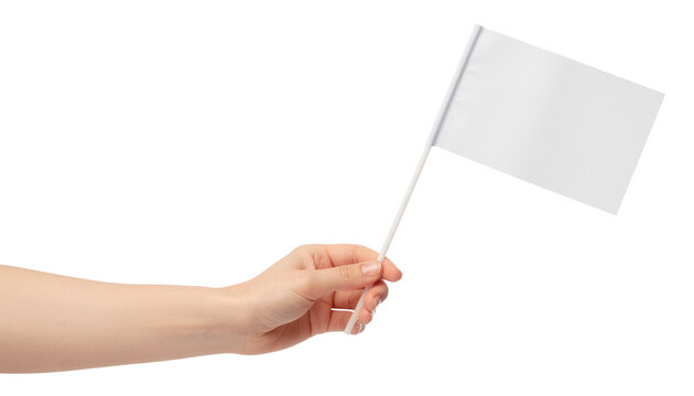 A hand holds a small white rectangular flag attached to a white stick against a bright white backdrop no background