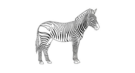 Striking black and white zebra artwork stands out with its unique striped pattern