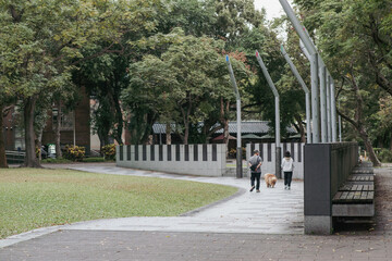 Fototapeta premium A peaceful park walkway lined with trees, where people walk their dogs on a quiet day. The scene highlights greenery, open space, and outdoor relaxation.