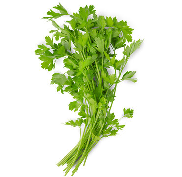a bunch of parsley on a white isolated background
