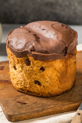 Sweet Festive Italian Chocolate Panettone Cake for Christmas