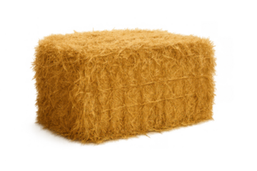 Hay bale as livestock feed for farm animals, depicting agriculture, harvesting, and rural outdoor life, transparent background
