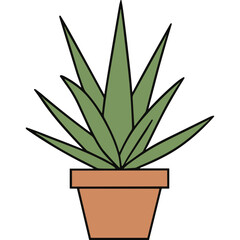 Fototapeta premium Green Potted Plant with Long Spiky Leaves in a Terracotta Pot Isolated on Black Background Simple Vector Illustration