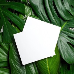 Blank white cards nestled among vibrant green tropical leaves