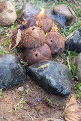 Coconut Shells Burning with Fire and Smoke