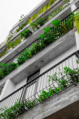 Urban greenery on modern apartment building with lush balcony plants