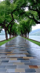 Pathway Lined with Trees Reflecting on Wet Stone