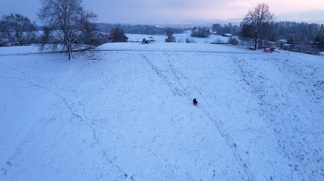 Aerial of a man sledding down a snowy hill at sunset, Uster, Switzerland