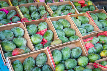 Naklejka premium Seasonal Egyptian mango on market. Many green mangoes. Big mango. Mango season in Egypt. Green mango in boxes.