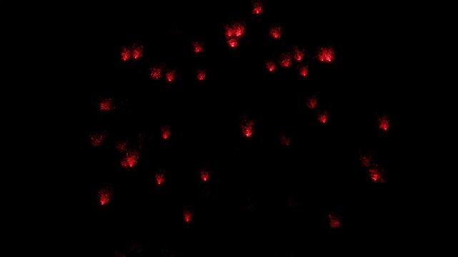 Massive red firework bursts with thick, glittering trails against black background. Perfect for grand finales and celebration videos