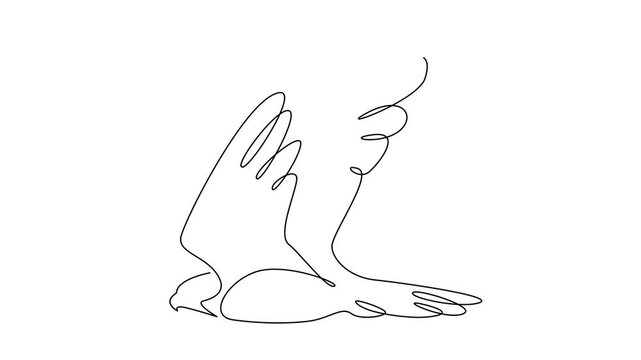 Bird of Prey Flying: Single Line Drawing Animation