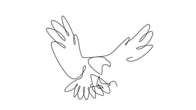 Continuous Line Art of Eagle Flying