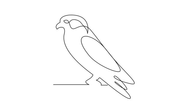 Continuous Line Drawing of Hawk