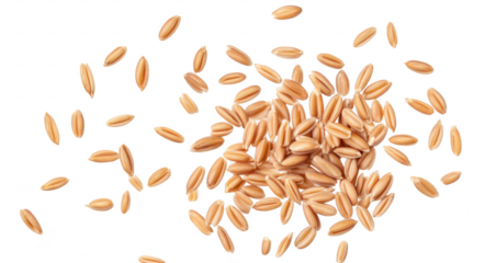 A collection of scattered golden wheat grains on a clean white background. illustrating the raw agricultural products texture and color. ideal for food-related projects or educational materials