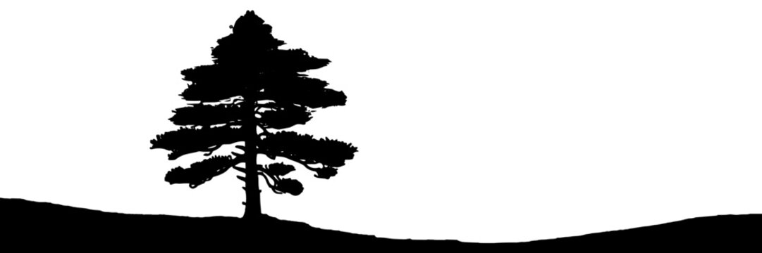 A single tree silhouette standing on a gentle hill, creating a minimal, peaceful landscape useful for nature, solitude, and background themes.
