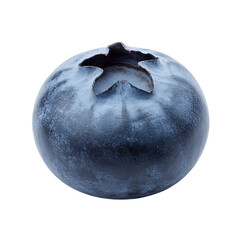 Close up macro shot of a single fresh blueberry on black