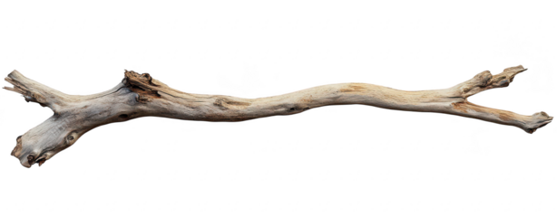 A long. weathered driftwood branch with intricate textures and natural color variations. isolated on a white background. ideal for nature-themed decor or artistic projects
