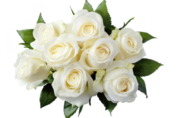 A beautiful bouquet of white roses arranged elegantly with lush green leaves. perfect for celebrations. weddings. or as a heartfelt gift. set against a clean white background